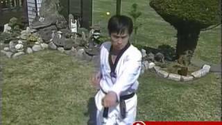 Taekwondo Poomsae Koryo Black Belt Form [upl. by Maillw]