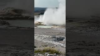 Clepsydra Geyser Yellowstone National Park [upl. by Chandal]