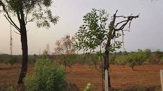 Kolad Farmhouse Plot Ideal Location Call 8169917225 [upl. by Dhruv295]