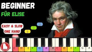 Für Elise 🪶 Beethoven 🪶 VERY EASY Beginner Piano Tutorial [upl. by Mireille]