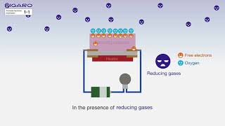 【FIGARO】How do MOS type gas sensors detect gas [upl. by Dworman]