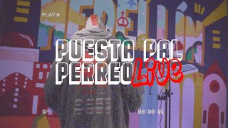 Puesta Pal´ Perreo  Fer Ariza En Vivo [upl. by Bortz]