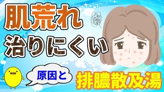 ニキビや肌荒れが治りにくい原因と排膿散及湯【巡りの改善が大切です】 [upl. by Kurtzman]