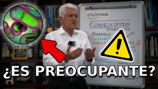 BROTE por KLEBSIELLA OXYTOCA  ¿Por qué ocurrió🦠 [upl. by Trbor]