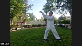 Flow like water Masterclass by SIFU GAD LEVY GOLAN [upl. by Clinton]