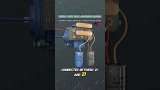 Single Phase Dual Capacitors Motor Connections Starting amp Running Capacitor motors motorcapacitor [upl. by Nepean798]