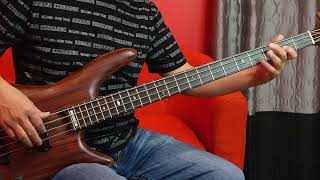 Trời Còn Mưa Mãi Ribaibaru  Bass Cover [upl. by Bledsoe460]