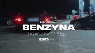 Mr Polska  Benzyna Patryś Remix [upl. by Nylynnej5]