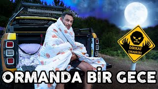 ORMANDA KORKU DOLU BİR GECE REXXİN KASASINDA [upl. by Anoj]