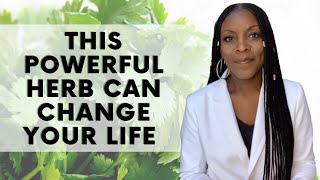 This Powerful Herb Can Change Your Life  Cilantro Health Benefits [upl. by Alyakcim]