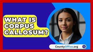 What Is Corpus Callosum  CountyOfficeorg [upl. by Schrader]