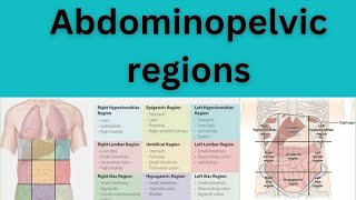 Abdominopelvic regions or Quadrants [upl. by Sherill]