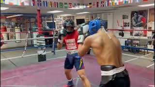 Boxing Sparring EmilianoVargas vs DanielLim sparring at Capetillo Boxing Gym Las Vegas [upl. by Ereveneug9]