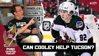 Should Logan Cooley join the Tucson Roadrunners for their playoff run [upl. by Liahkim416]