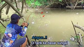 Ganasnya mancing baung raja saat sungai surut [upl. by Amata561]