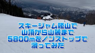 スキージャム勝山で山頂から山麓まで5800mをノンストップで滑ってみた [upl. by Whitebook983]