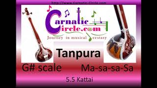 Tanpura Drone G Scale with Ma string  5 kattai [upl. by Albin]