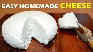 How to Make Cheese at Home  2 ingredient Easy Cheese Recipe [upl. by Pol297]