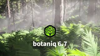 botaniq 67 release  Animate Everything  Make stunning 3D forests gardens fields in Blender [upl. by Walls883]