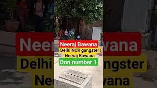 Neeraj Bawana group court mein peshi per jaate hueneerajbawanagangsternaveenbalinbgroup [upl. by Eittam]