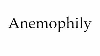 How to Pronounce Anemophily [upl. by Nimocks]