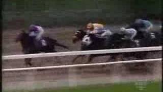 Cigar Breeders Cup Classic 1995  post race coverage [upl. by Katherin]