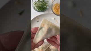 Beef Birria Wontons [upl. by Annis464]