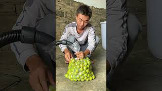 Home Simple Way To Do Plums Bag Vacuum Package [upl. by Nojad]