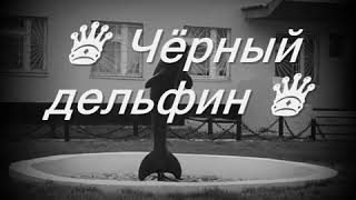 Черный Дельфин текст песни lyrics [upl. by Kaleena713]