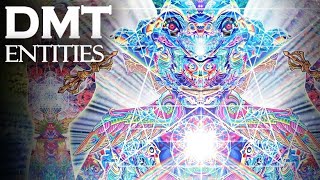 The Unsolved Mystery of DMT quotEntity Encountersquot [upl. by Nagah]