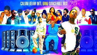 Dancehall Mix 2024  New Dancehall Songs 2024  Dip  TeejayTommy LeeBaykaVybz kartelValiant [upl. by Carlina]