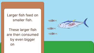 Bioaccumulation How Pollutants Affect Organisms and Their Environmentquot 🌍🐟 [upl. by Eidnim948]