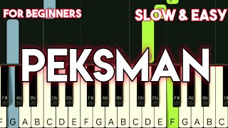 SIAKOL  PEKSMAN  SLOW amp EASY PIANO TUTORIAL [upl. by Oleic]