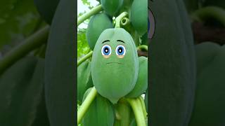 Papaya Has Babies  fruit surgery Fruitfix shorts Fruitfix54 [upl. by Feinstein]