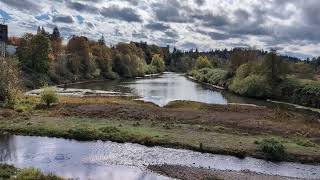 View of the Willamette Slough from the Peter Courtney Minto Island Bicycle and Pedestrian Bridge [upl. by Fayth]