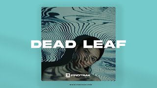 Dead Leaf  Instrumental Afrobeat x Lojay Type Beat [upl. by Eilssel]