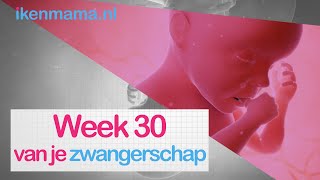 30 weken zwanger  ikenmamanl [upl. by Anesor295]