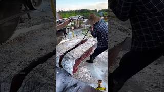 Red crystal stone in street 😱 😱viralvideo crystals stone facts viral [upl. by Llerol45]