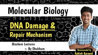 DNA Damage And Repair Mechanism  Molecular Biology  Biochemistry lectures  Ashish [upl. by Wallis70]