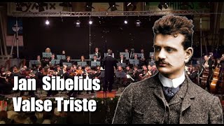 Valse Triste  J Sibelius [upl. by Procter]