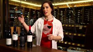 Pinot Noir Merlot Cabernet Sauvignon Shiraz Syrah  Red Wine Guide [upl. by Ciro]