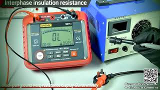 Test ANENG MH13 Ohm Tester Digital Multimeter Megometro Insulation Review Aliexpress [upl. by Hocker400]