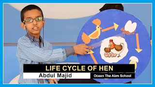 Life Cycle of Hen OceanTheABMSchool [upl. by Anyal809]