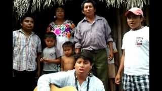 Maya Song quotMy Culture Will Never Diequot  quotIn Miatsil Mixtun Kiimilquot best Mayan Music [upl. by Hausmann]