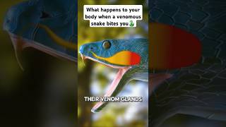 What happens to your body when a venomous snake bites you [upl. by Droffilc]