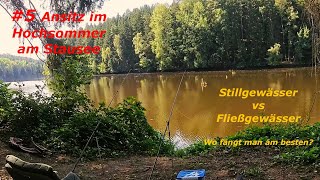 5 Stillgewässer vs Fließgewässer  Feedern im Hochsommer  Teil 3 Stausee [upl. by Candace17]