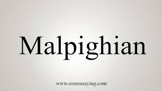 How To Say Malpighian [upl. by Mattheus]