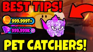 How To Become The Best In Pet Catchers Guide Roblox [upl. by Collayer]