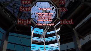 Sentier des Cimes laurentides monttremblant treetop walk fall season 2024 quebec canada [upl. by Ddart]