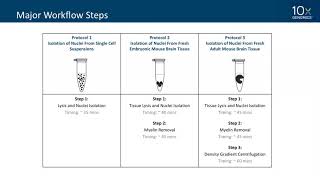 10xpert Workshop  How to Single Nuclei RNAseq [upl. by Ahseinek]